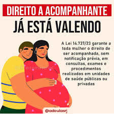 Lei do Acompanhante